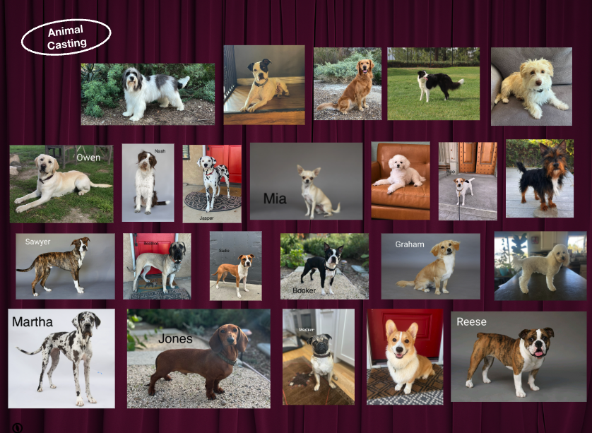 Barilla animal casting board: roughly two dozen named dogs across breed, size, and color.